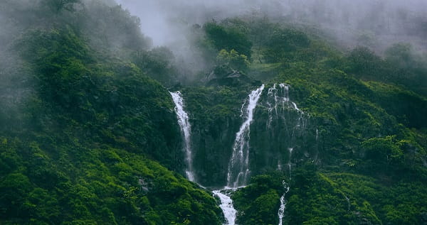 Tamhini Ghat Maharashtra