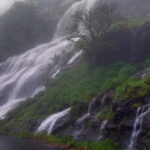 Charmadi Ghat (Charmady Ghat) Karnataka