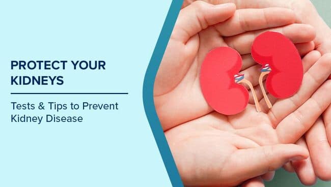 What Causes High Creatinine Levels and How to Protect Your Kidneys