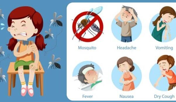How to Differentiate Between Dengue, Typhoid, and Regular Viral Fever